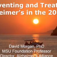 sunset picture with text displayed in description next to Michigan State University Spartan logo and logo for Alzheimer's Alliance